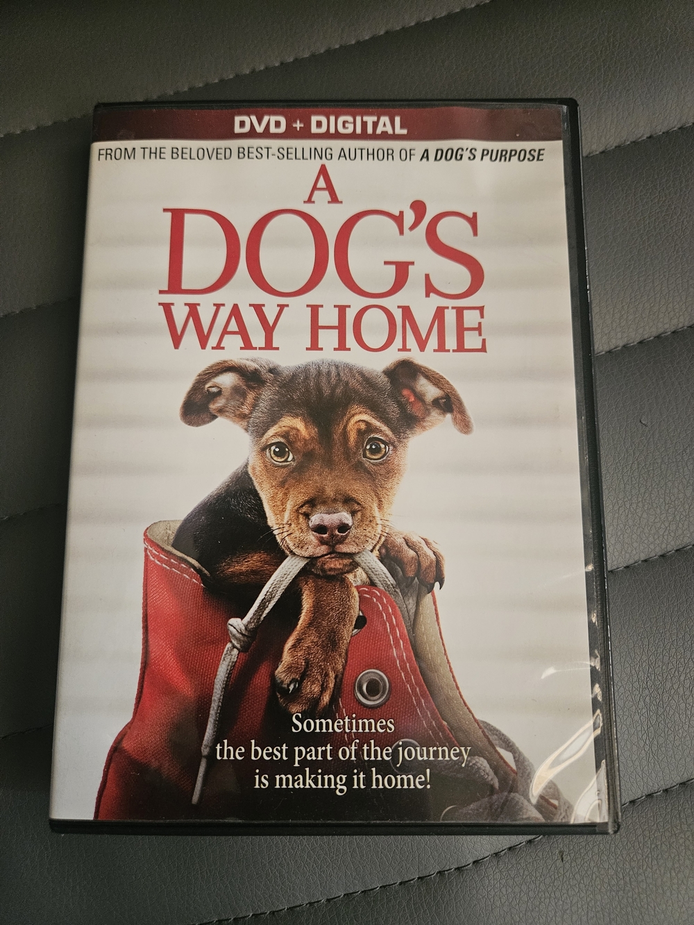 A Dog's Way Home (DVD + Digital) - Red